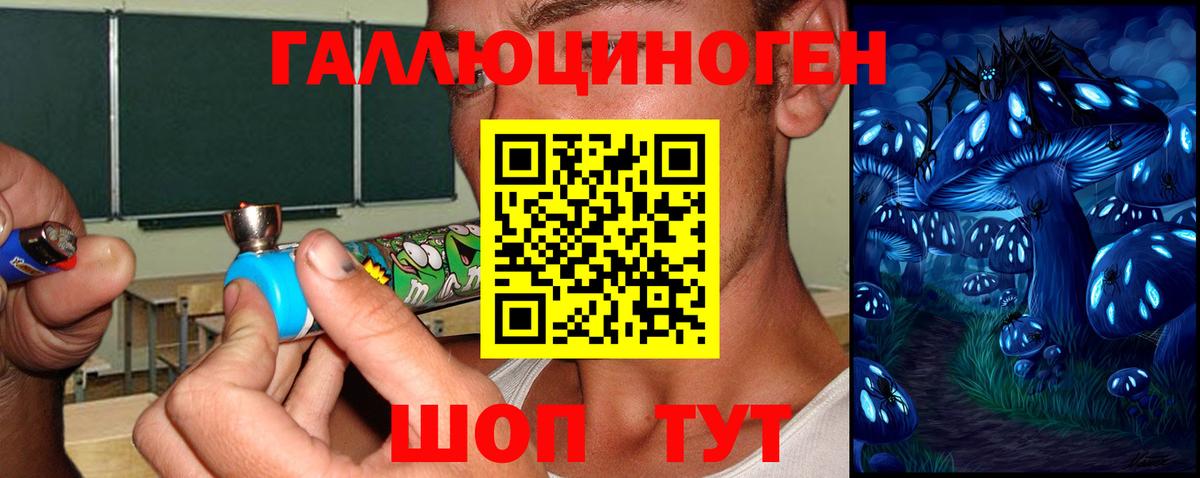 Россошь  Псилоцибиновые грибы мицелий  Псилоцибиновые грибы GOLDEN TEACHER  Вход с VPN 